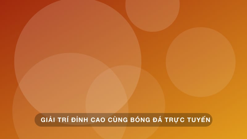 Giải Trí Mùa Bóng Đá Trên Xe Khách Đường Dài Không Nhàm Chán
